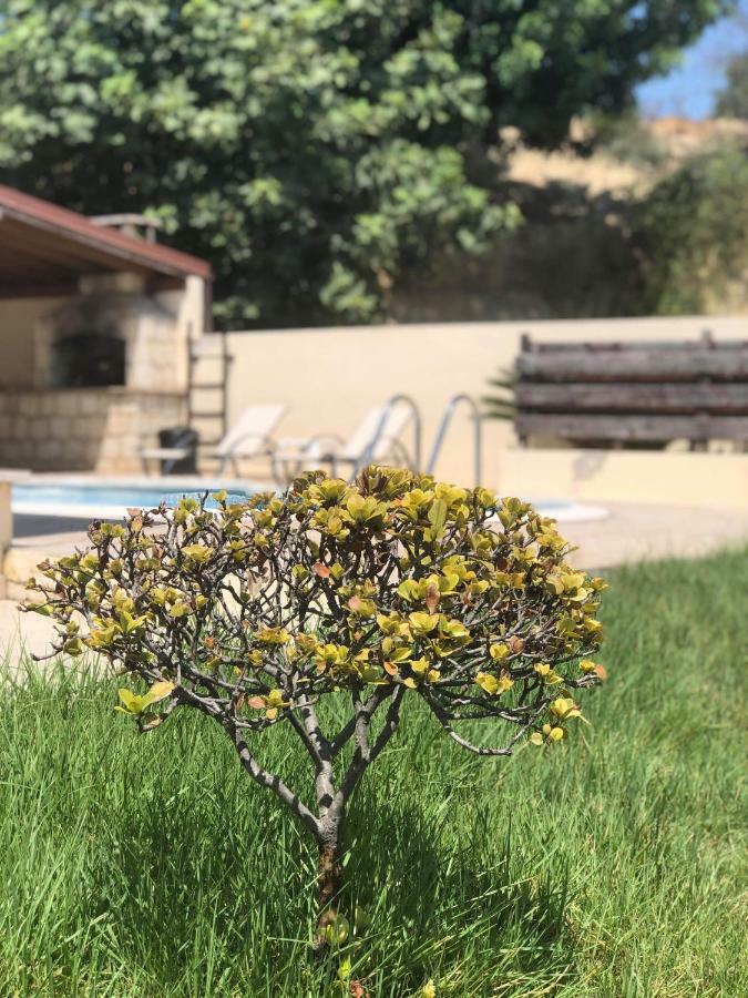 Afroditi House Stroumbi Dış mekan fotoğraf